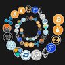 Way of Crypto